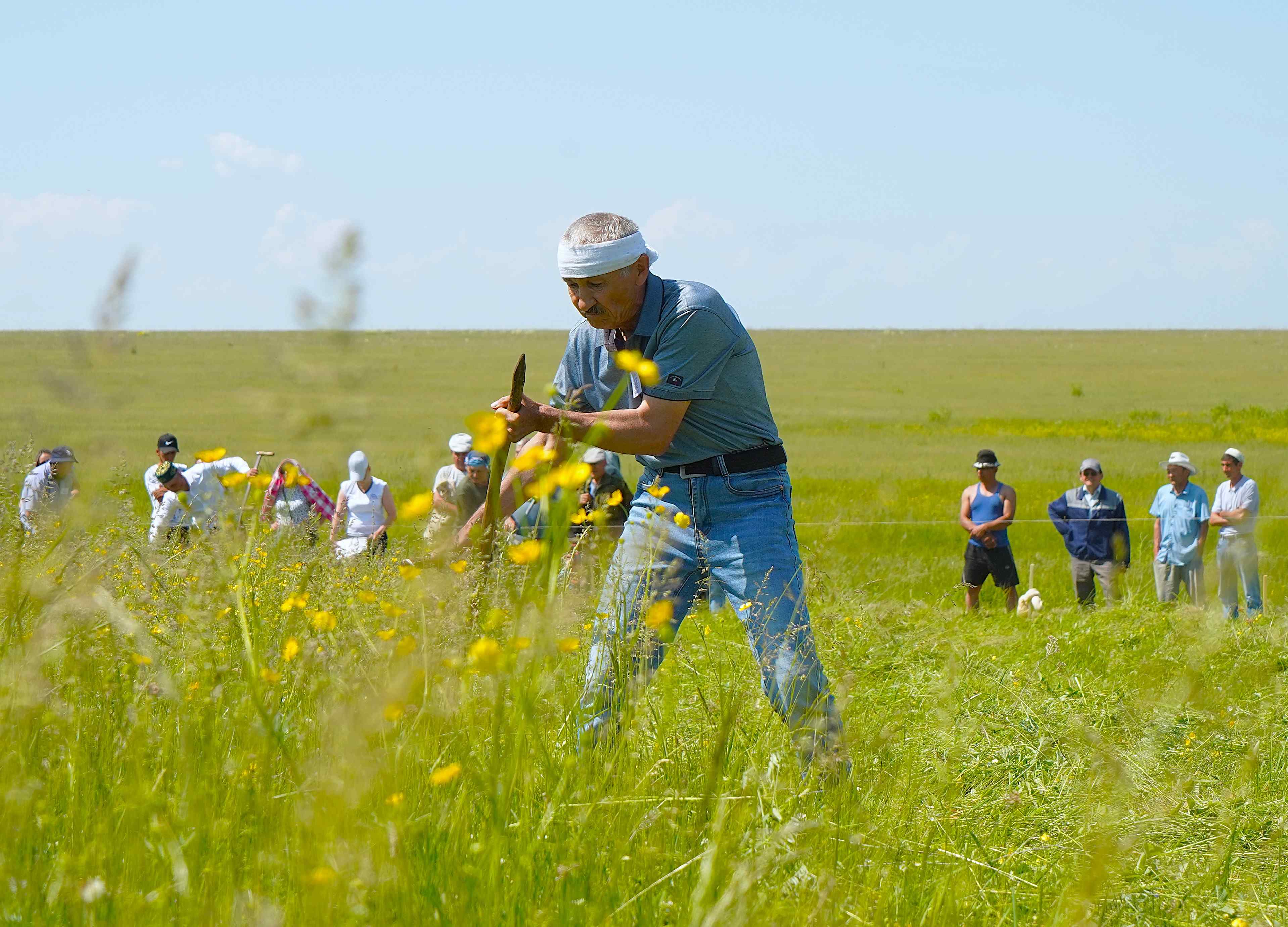 Праздник сенокоса «Звени, коса!»: сохраняя традиции поколений