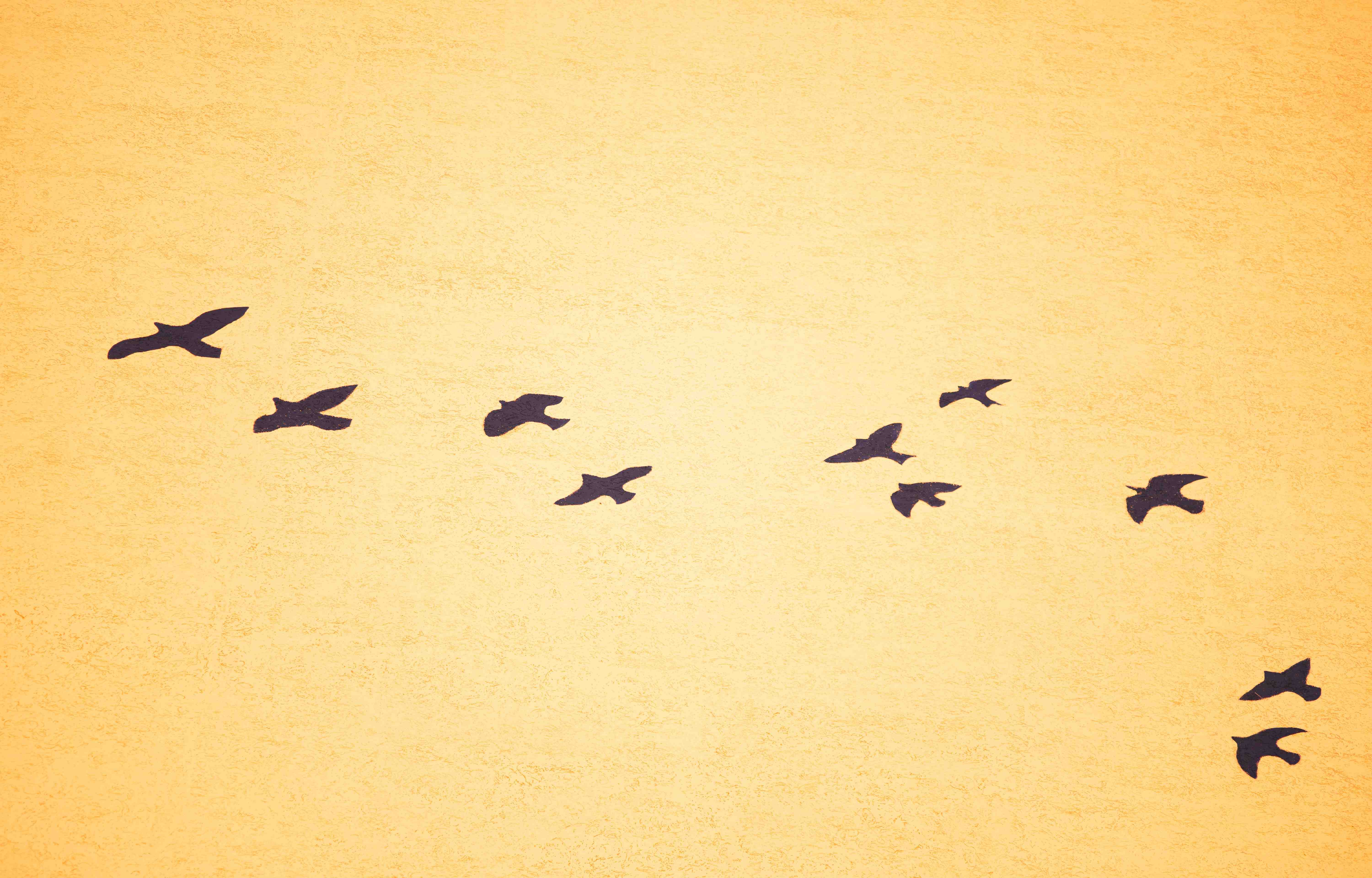 Совсем скоро стартует голосование за лучшую работу фестиваля уличного искусства ПФО «ФормАРТ»