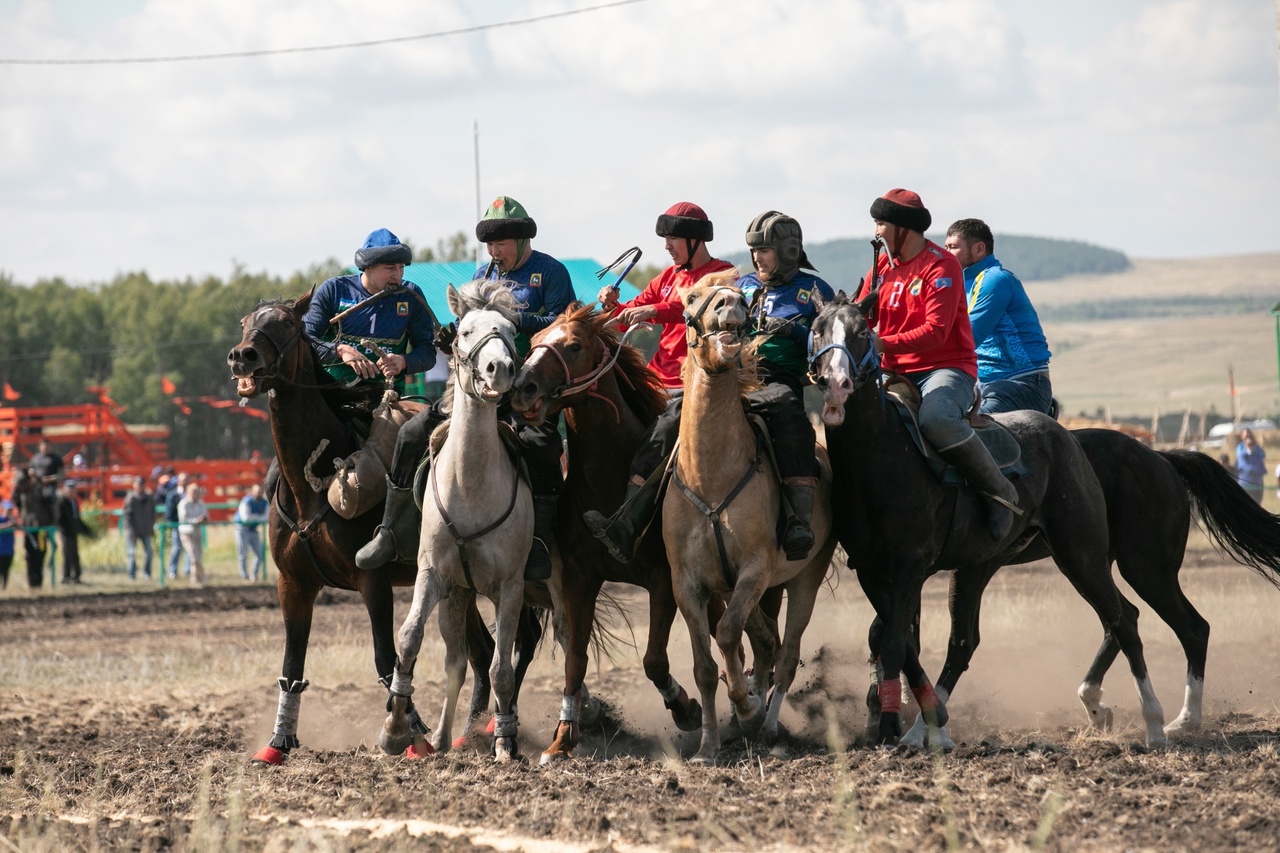 В Баймакском  районе стартовал Международный фестиваль лошадей башкирской породы «Башҡорт аты»