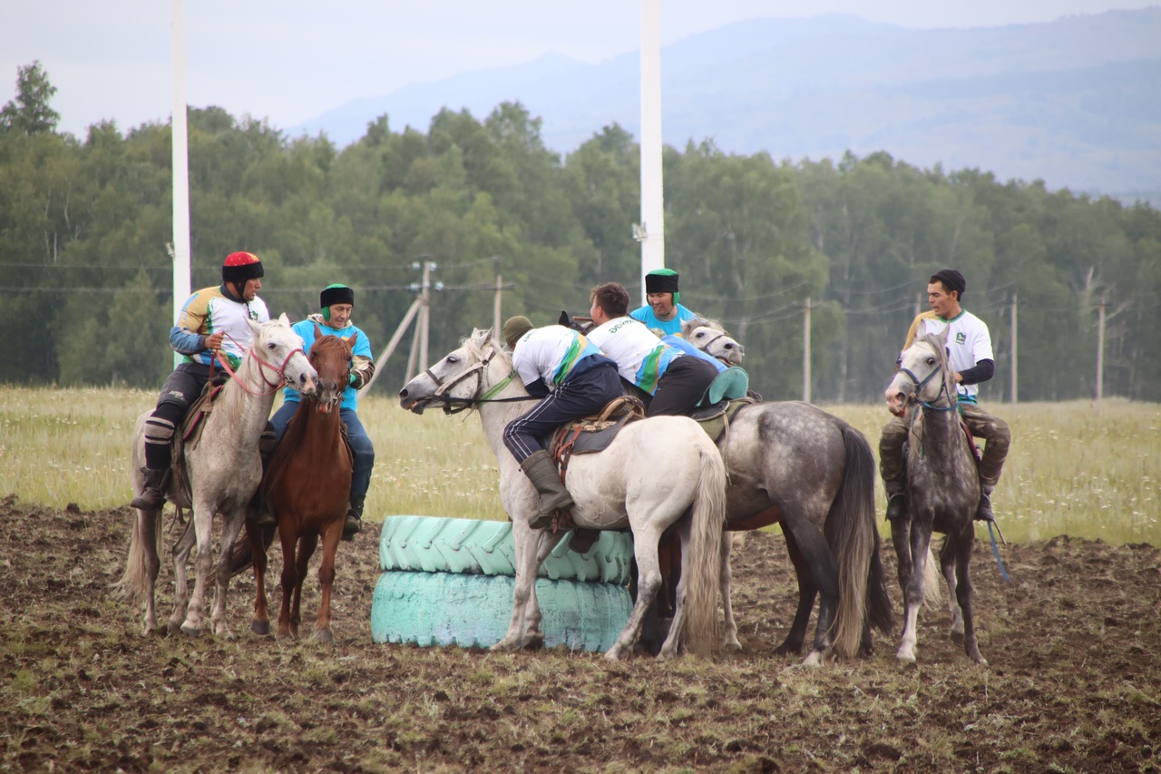 Завершился первый день фестиваля лошадей башкирской породы “Башҡорт аты”