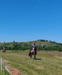 izobrazenie_whatsapp_2025-07-13_v_18.24.35_7d6c9cb2