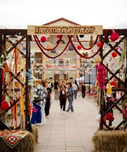 drqeh6gl7z5y09tl3r3z1qpgxlzeuzsuh0ycwu0-wb1cv6odfomcszbomp9on-bko-ughjboer6ajmgoncear0sj