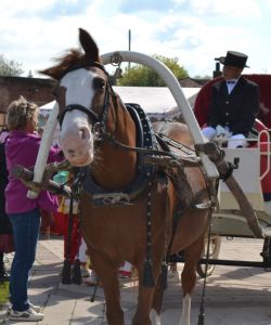 7v6tlbntfvobtfxl_pvk0ntfpekris04xzkpvsu7hqh8-shdrsz0ssfib1vzqkdynvmhyjif2ex1c1y0c3bvnalp