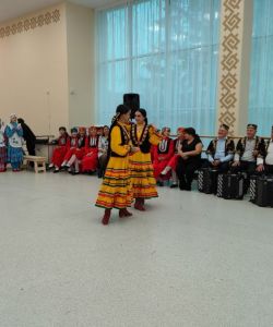 compressed-img20251018122730