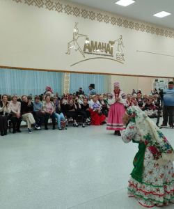 compressed-img20251018153406