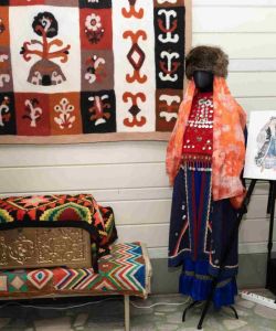 rcnt-47_resized_11zon