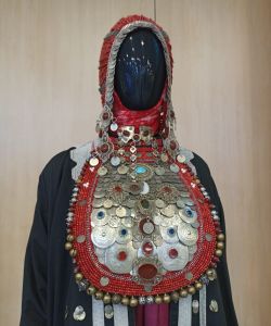 whatsapp_image_2025-12-11_at_15.43.26