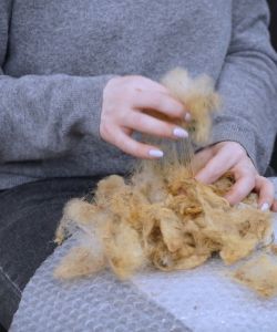 v4me96qg2l92k40cbbvweiroohtawwlhjmhtssws0pdjaakznfus6lujugdw5lnggo5bic-3yvci-gulcuc_1ppk