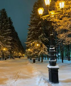 allea_im._margarity_kuprianovoj